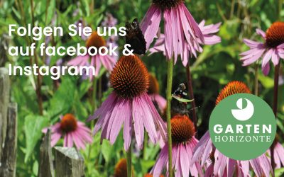 Folgen Sie uns auf facebook & Instagram!