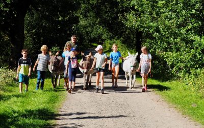 Steigerung der Lernmotivation und des Wohlbefindens